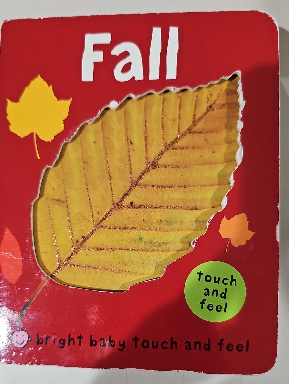 Touch and Feel Baby Fall Book